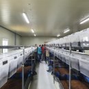 환의농장 이미지