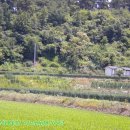 덕산 양계 이미지