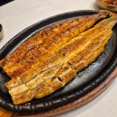 버드나무집 | 남양주 장어 맛집 버드나무집 대왕 장어구이 솔직 후기