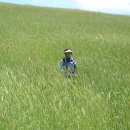 다운목장 이미지