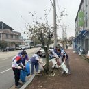 청소농업협동조합 투데이안