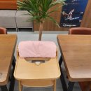피자플렉스(연수점) 네이버블로그
