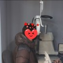 미르안경 안산상록수점 이미지