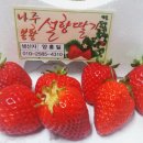 양홍일 농장 이미지