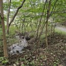 (주)성연 | [충남,등산] 홍성 오서산 등산! 성연주차장-시루봉-정상-던목고개-아차산-성당제-원점! 후기!