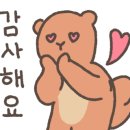 정민초밥 이미지