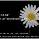 아우름장애인자립생활센터 이미지