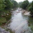 월성세탁소 이미지