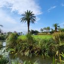 소노캄제주WEST동 이미지