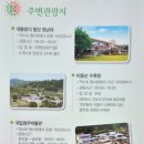 국제바이오