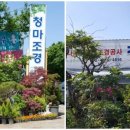 청마조경 이미지