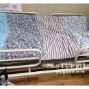 루첼라리아 이미지