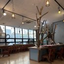 수아비스 | 고양이랑 눈 마주쳤다가 시간 순각된 날 냥덕후 평택인들 모여라 평택 삼층고양이 카페 후기