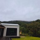 금낭화타운 이미지