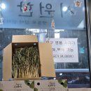 속초시청 | 속초 시청 앞 해장국 맛집, 만천뼈해장국 시래기뼈해장국과 선지해장국 재방문 후기