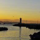 천성낚시터 이미지