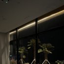 비마이아일랜드 이미지