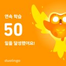 [끄적끄적 일상✏️] 벌써 유학 1주년?! | N년만에 등산가고 야밤에 나홀로 머리싹둑💇🏻‍♀️ 셀프미용 한 일상