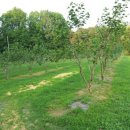 청전농장 이미지