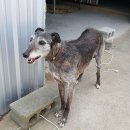 남해대로 이미지