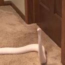 에코동물병원 이미지