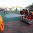 그린공원1 이미지