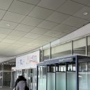 서울대병원 | [남미 여행] 황열 예방접종 분당서울대병원 후기 국제예방접종증명서 발급