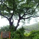 계척체육공원 이미지