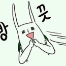 주문진둥지식당