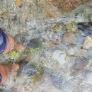 대무관 | 103.[남자캠핑]2017 아빠들의 보신캠 #2(2017년 30회 캠핑)