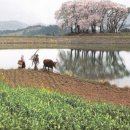 고향마을 - 수원시 권선구 일월천로10번길 2 | 고향마을