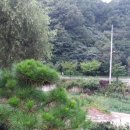 뉴삼성부동산중개사무소 이미지