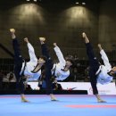 국가대표 열정태권도 이미지