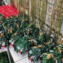 눈높이러닝센터역북학원 이미지