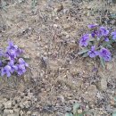 오늘은봄날 이미지