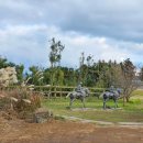 큰동산목장 이미지