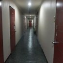 맘모스타워 이미지