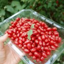 사계절농장 이미지