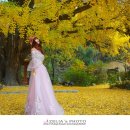 하곡마을 이미지