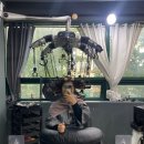 유림-1014 | 서면 복구 매직셋팅 후기 서면미용실추천 알라모드