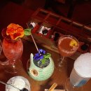 바제라늄(Bar Geranium)
