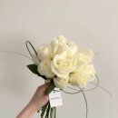 포엠플레르