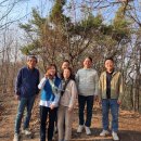 세런디피티78 이미지