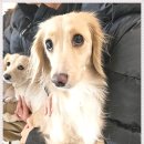 아이조아 요양보호소 서울점 이미지