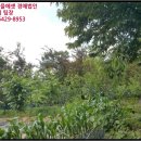 어둔동 마을회관 이미지