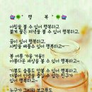 경춘로 네이버블로그