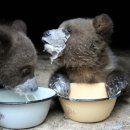 김한솔 PT샵 이미지