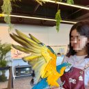 가볼래 | 경기 화성 동탄 아이와 가볼만한곳 | 키워볼래 동물체험 솔직 후기