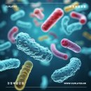 이너뷰티 필라테스 이미지