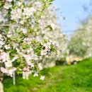 마교농장 이미지